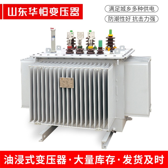 S13-10000/35新邵新邵新邵电力变压器